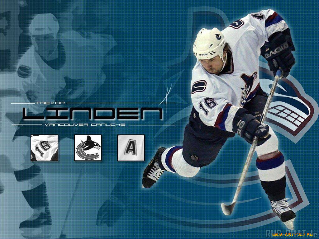 linden, , nhl